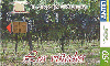 Cartão Importado Uruguai TC363a