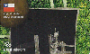 02943A  PR  06/06  Copa do Mundo ( 03/10 ) Tir. 1.000 Interp. 20C