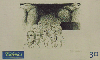 0772 SP 05/00 VII Sarp - 1982 Tir. 300.000 CSM 30c.