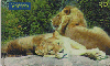 0793 SP 03/00 Animais Selvagens (Leão) Tir. 500.000 CSM 30c.