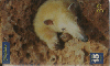 1176 SP  10/01 Série Animais (21/26) Tir.500.000 Interp. 30C