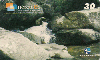 00444  MG  09/00  Série Natureza  (04/07)  Tir.20.000 CSM 30C