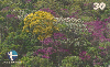 096  ES  11/99  Mata Atlântica - Paisagismo (10/20) Tir.40.000 CSM 30C