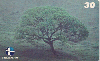 180  ES/MG  07/00  Árvores da mata Atlântica (02/05)  CSM 30C
