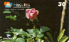 00438  MG  09/00  Série Flores  (04/06)  Tir.20.000 CSM 30C