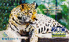 03944  SC  07/05  Zoo Pomerode  Tir. 205.000  ICE 40C