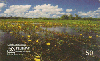 09535  MT  08/98  Pantanal ( Pantanal Matogrossense ) Tir. 50.000 CSM 50C