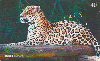 14592  GO  12/02  Renctas Mamíferos ( 08/10 ) Tir. 250.000 ICE 40C