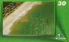 16553  RBA  01/01  Costa do Descobrimento ( 02/10 )  Tir. 125.000 ABNC 30C