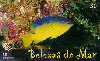 20073  CRT  10/01  Belezas do Mar ( 01/10 )  Tir. 200.000 Interp. 30C