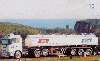 21171  RS  03/03  Denardi  ( 01/02 )  Tir. 5.000 Interp. 10C