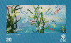 25094  CTBC  09/98  Arte no ABC PEI B1 ( Peixinhos Divertidos ) Tir. 120.000 Interp. 20C