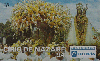37127  TB  09/94  Círio de Nazaré 94/PA Interp. 20C ( 03 - 10/94 ) C/Nº