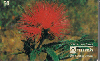 37337  TB  04/95  Flores do Cerrado - Cigana CMB 50C ( 02 - 07/95 )