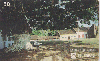 37772  TB  05/96  Alcântara - Maranhão CSM 50C ( 03 - 05/96 ) 001