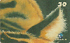 1917  RJ  06/00  TIGRE ( 02/10 ) Tir. 100.000 ABNC 30C
