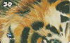 1918  RJ  06/00  TIGRE ( 03/10 ) Tir. 100.000 ABNC 30C