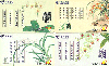 00546   Série Importada  ( 4 Cartões )