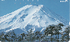 35914   Japão