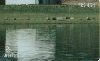 15941  GO  09/04  Memorial JK ( 03/04 ) Tir. 31.820 ICE  R$ 4,21