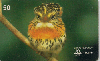 0065 SP 08/98 Aves do Brasil Tir.800.000 CMB 50C