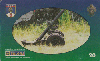 0497  RJ  02/99  Arsenal de Guerra B1 (10/12) Tir.200.000 ABNC 20C