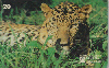 0080 A RJ 06/98 Dia Mundial do meio Ambiente B2 (01/06) Tir.100.000 ABNC 20C