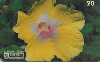 0339  RJ  11/98  Hibiscus Híbridos  (03/20) Tir.100.000 ABNC 20C