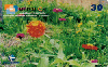 00437  MG  09/00  Série Flores  (03/06)  Tir.20.000 CSM 30C