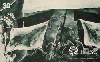 03285  SC  07/99  Museu de Arte de SC (Max Moura)  Tir. 100.000 ICE 30C