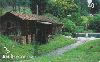 03683  SC  08/03  Santa e Bela Catarina ( 08/15 )  Tir. 29.000 Interp. 40C