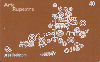 03893  SC  04/05  Arte Rupestre ( 02/08 )  Tir. 96.000 ICE 40C