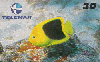 05317  PB  05/99  Xira Amarelo  PXA I3  Tir. 100.000 Interp. 30C