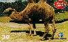 06403  PE/PB  11/00  Parque dois Irmãos ( 02/10 ) Tir. 100.000 CSM 30C