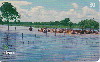 09790  MT  05/01  Série Animais  ( 10/10 ) Tir. 150.000 ICE 30C
