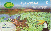 09953  MT  02/04  JUVAM  Tir. 200.000 ICE 40C