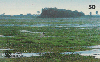 11512  MS  07/98  Pantanal Sul Matogrossense B1  Tir. 90.000 ABNC 50C