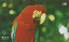11685  MS  07/01  Color Zoom ( Arara Vermelha ) Tir. 150.000 ICE 30C