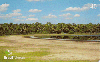 11752  MS  02/03  Salinas Pantaneiras ( 02/04 ) Tir. 100.000 Interp. 40C
