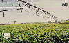 14005  GO  07/98  Feijão - Goiás  Tir. 296.000 ICE 50C