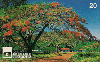 14051  GO  02/99  Parque Ecológico Ulisses Guimarães B1  Tir. 100.000 ICE 20C