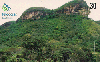 14306  GO  09/00  Morro do Leão  Tir. 200.000 ICE 30C