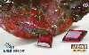 14623  GO  07/03  Gemas Brasileiras ( 07/12 ) Tir. 125.000 ICE 40C