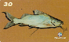 21761  MA  09/00  Peixes do Mearim  ( 06/10 ) Tir. 50.000 ABNC 30C