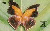 22673  PA  03/99  Borboletas em Extinção ( Historis orion ) Tir. 150.000 ABNC 20C