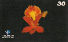 22705  PA  06/99  Orquídeas - Para  I2  ( 08/11 )  Tir. 50.000 ABNC 30C