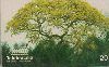 28089  DF  03/99  Flores do Cerrado ( Bignoniaceae Tabebuia ) Tir. 150.000 ICE 20C