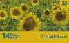 10871  MT  09/08  Primavera 1 Tir. 214.190 Interp. 40C