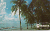 37265  TB  02/95  Verão 94/95 Praia da Ponta do Seixas/PB ABNC 20C ( 04 - 02/95 )
