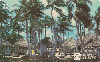 37891  TB  07/96  Praia do Pesqueiro CMB 20C ( 01 - 09/96 )